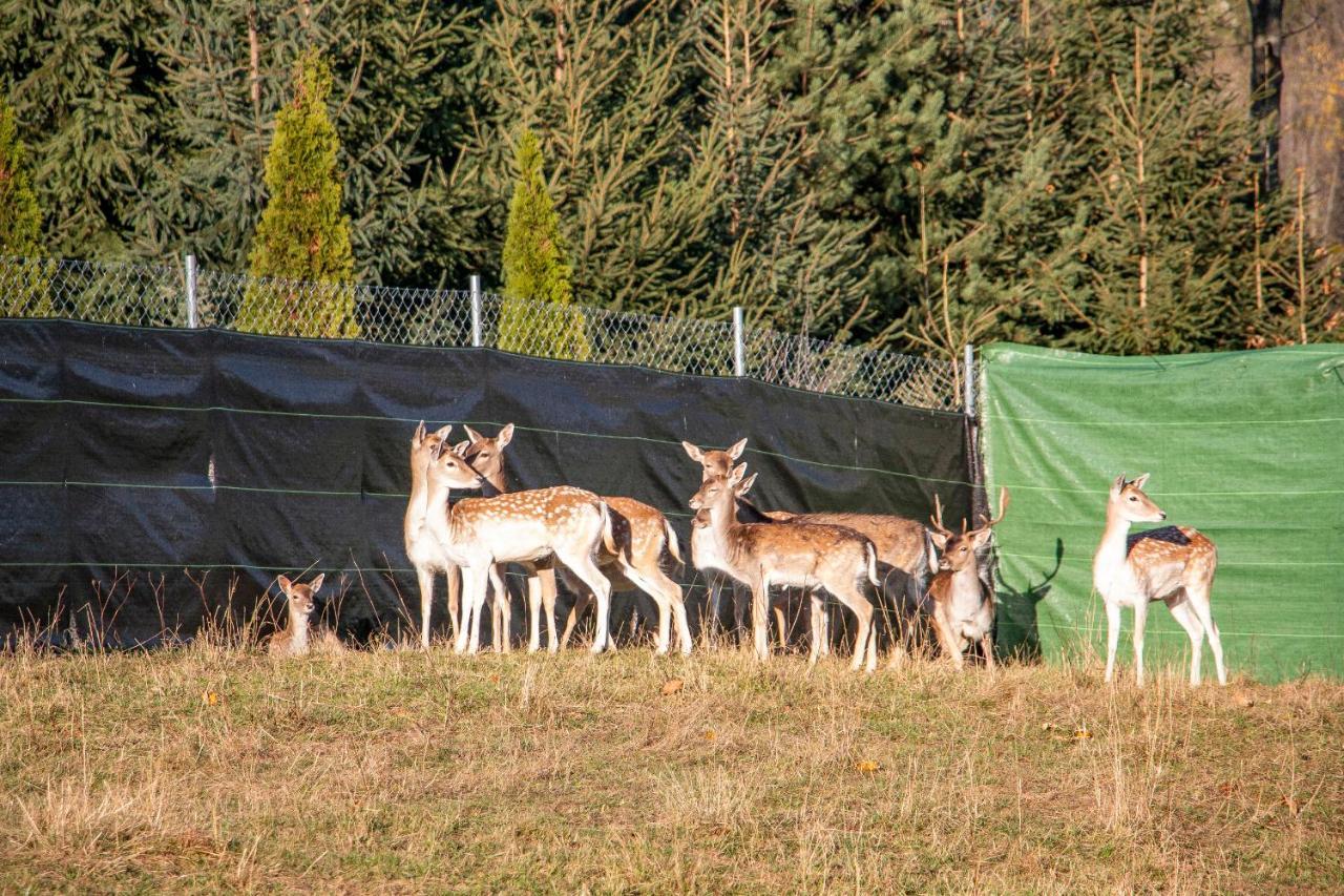 Grand Tatry - Miejsce Na Wyjatkowy Pobyt Dla Ciebie I Twojej Rodziny! - Sauna I Jacuzzi Wliczone W Cene Pobytu -10 Minut Pieszo Od Term Bania Бялка-Татшанська Екстер'єр фото