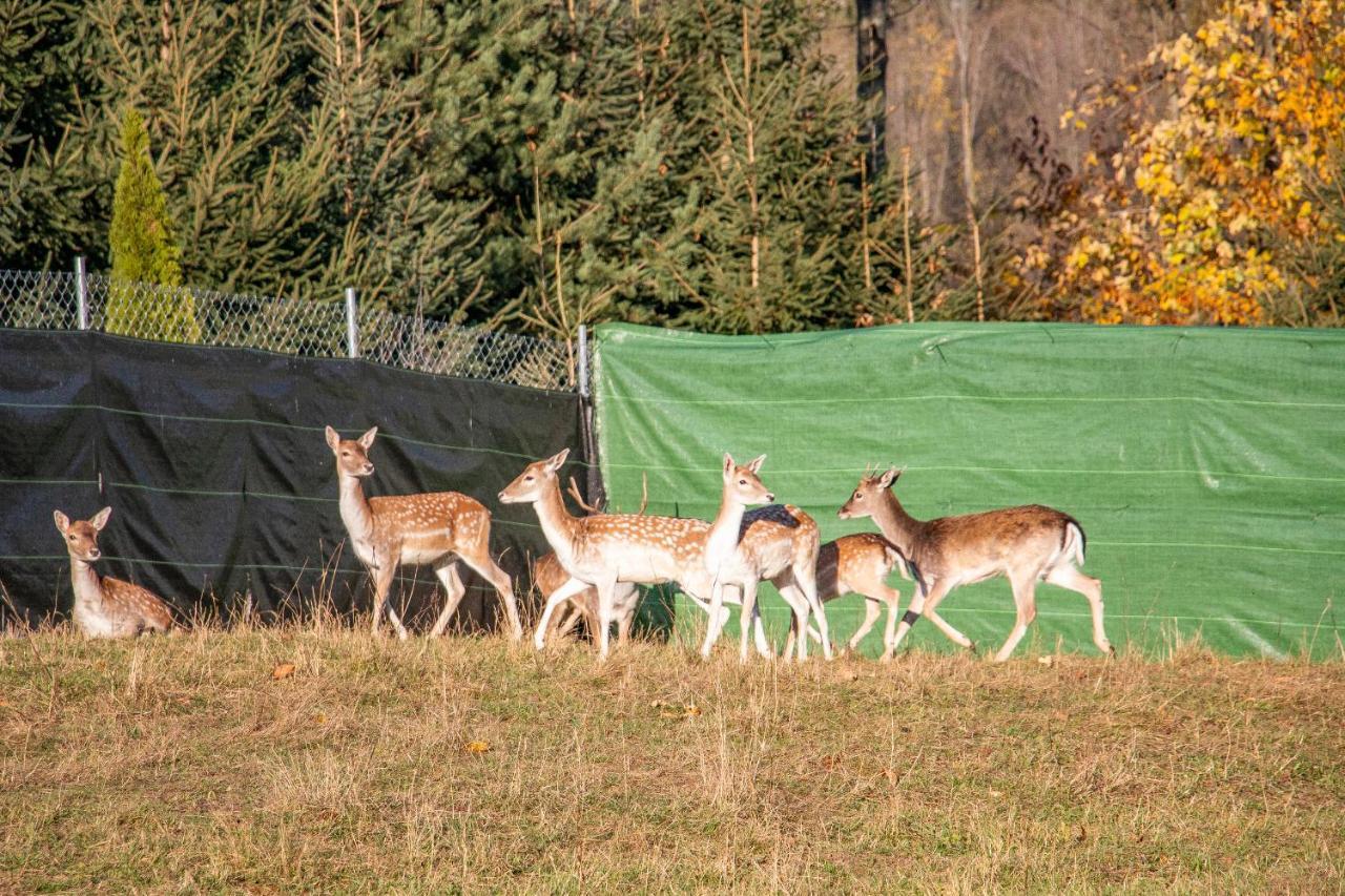 Grand Tatry - Miejsce Na Wyjatkowy Pobyt Dla Ciebie I Twojej Rodziny! - Sauna I Jacuzzi Wliczone W Cene Pobytu -10 Minut Pieszo Od Term Bania Бялка-Татшанська Екстер'єр фото
